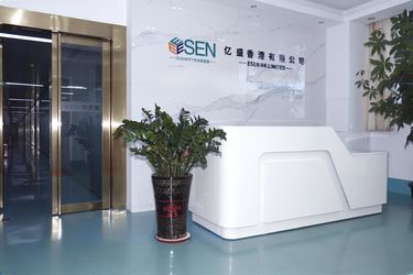 ESEN HK LIMITED