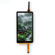 5.0 4.99'' 720 X 1280 IPS MIPI ILI9881D TFT LCD Module View Angle Capacitive Touch Panel
