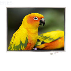 12.1 Inch TFT LCD 1024x768 Resolution  LVDS Interface with Customized FPC and TP