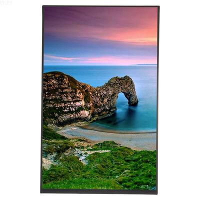 10.1'' TFT LCD Display Module With 1200x1920 Dots Resolution MIPI Interface
