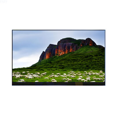 11.6'' TFT LCD Module 1920×1080 EDP Interface Back Folding All Iron Anti Blue Light