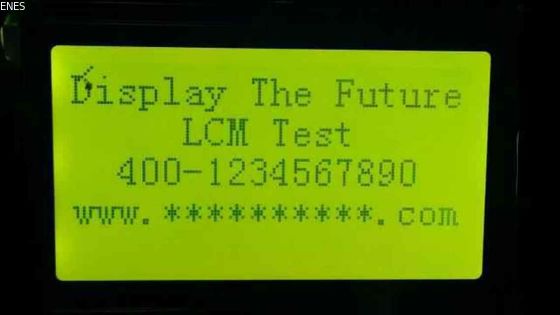 TN HTN STN FSTN VA Segment Graphic Monochrome LCD Display RGB  LCD Segment Display For Infrared Thermometer Custom